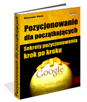 pozycjonowanie